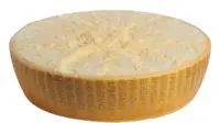 Half-cut Parmesan cheese wheel with crystalline texture for pasta and fondues.